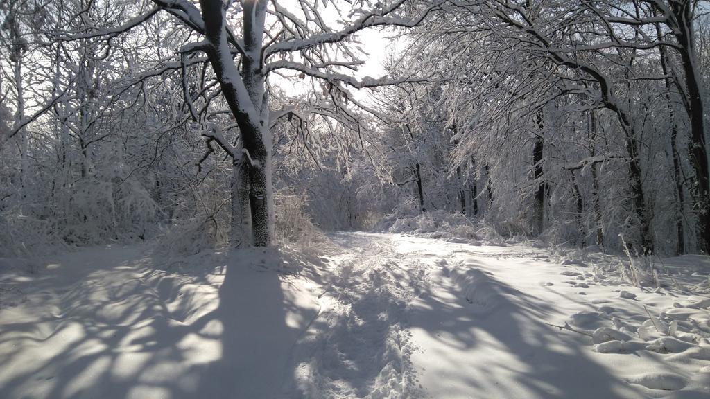 Korde Apartman Kőszeg Exteriör bild
